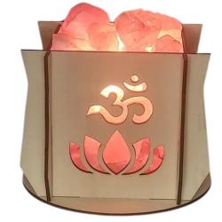 ILLUMINESENS Lampe de sel de l'Himalaya Modèle Ohm