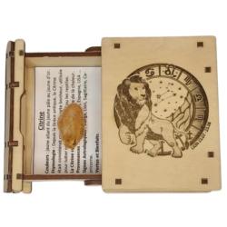 ILLUMINESENS Coffret Astrologique Lion